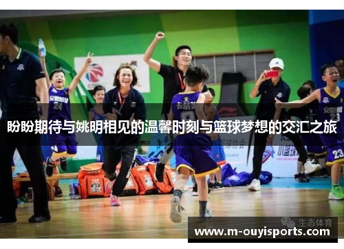 盼盼期待与姚明相见的温馨时刻与篮球梦想的交汇之旅