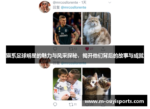 猫系足球明星的魅力与风采探秘，揭开他们背后的故事与成就